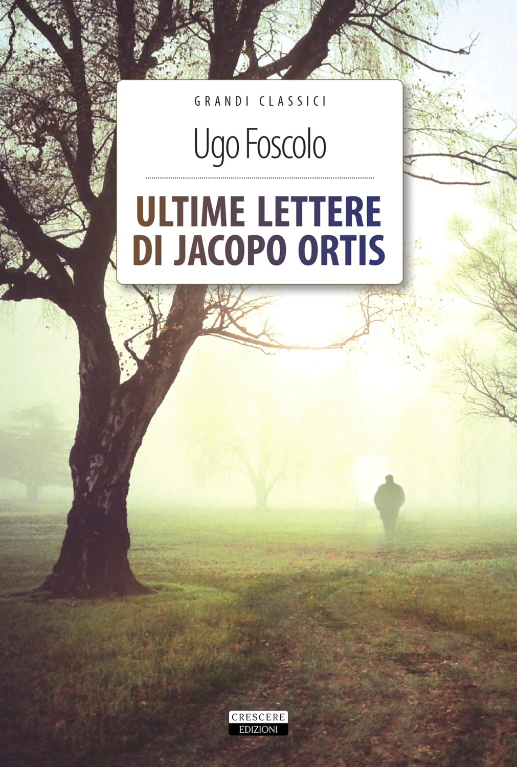 Ultime lettere di Jacopo Ortis book cover