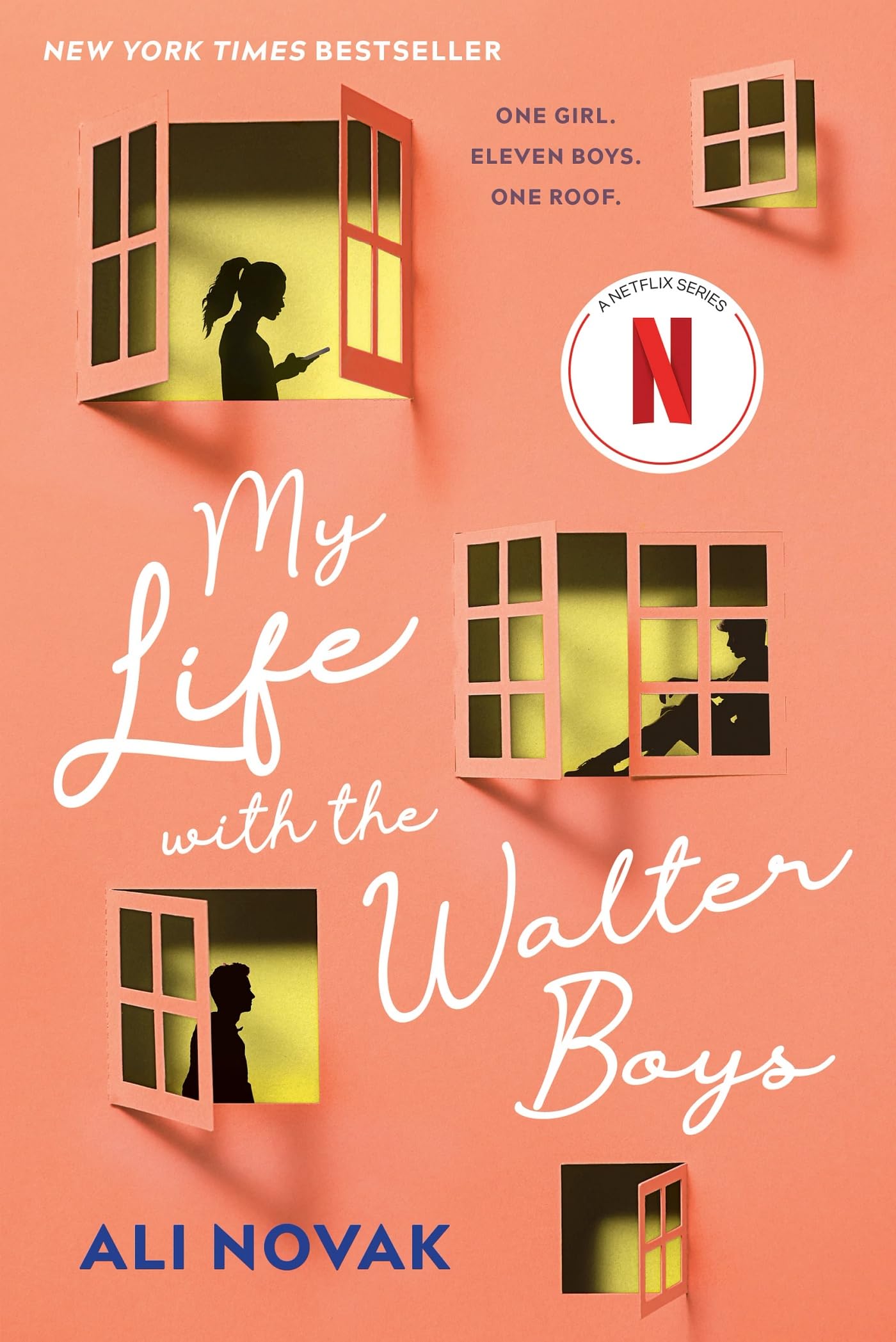 My Life with the Walter Boys book cover