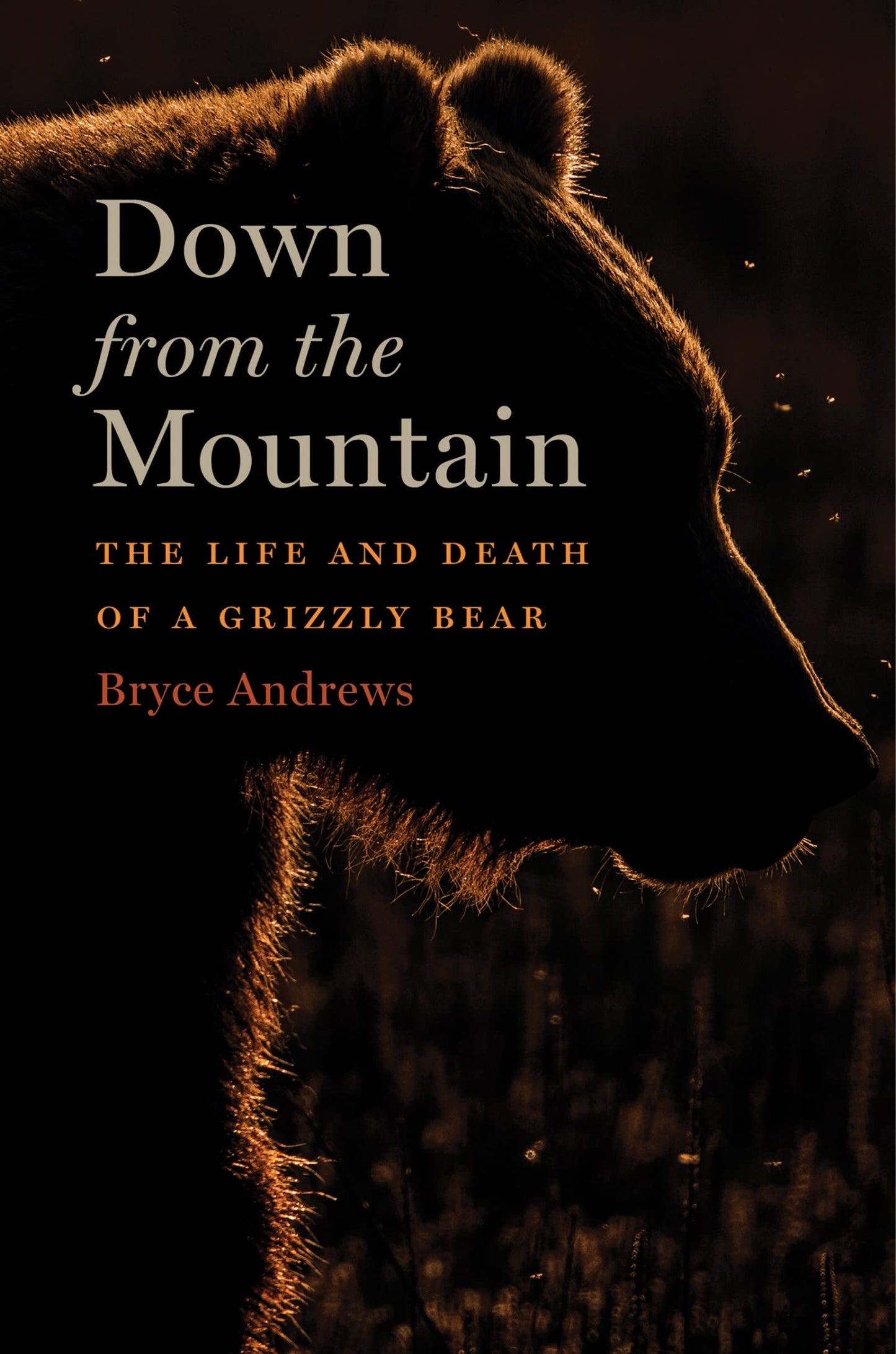 Down from the Mountain: The Life and Death of a Grizzly Bear