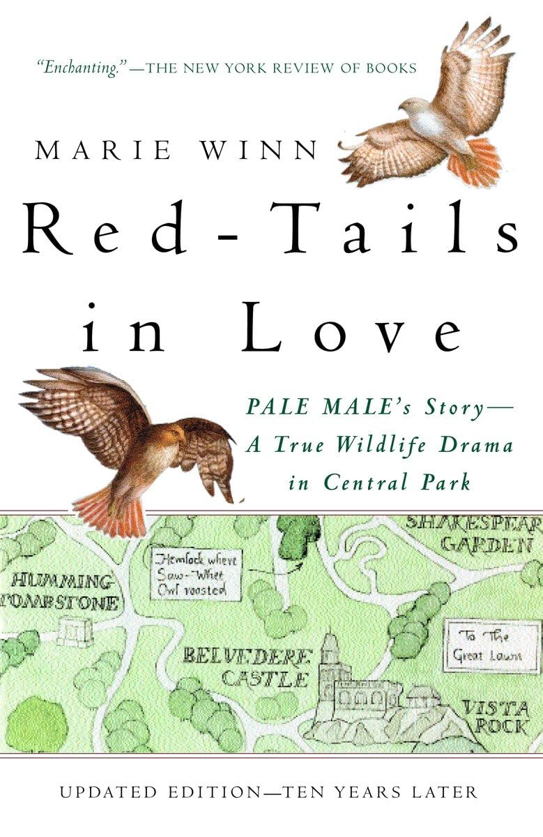 Red-Tails in Love: PALE MALE'S STORY--A True Wildlife Drama in Central Park