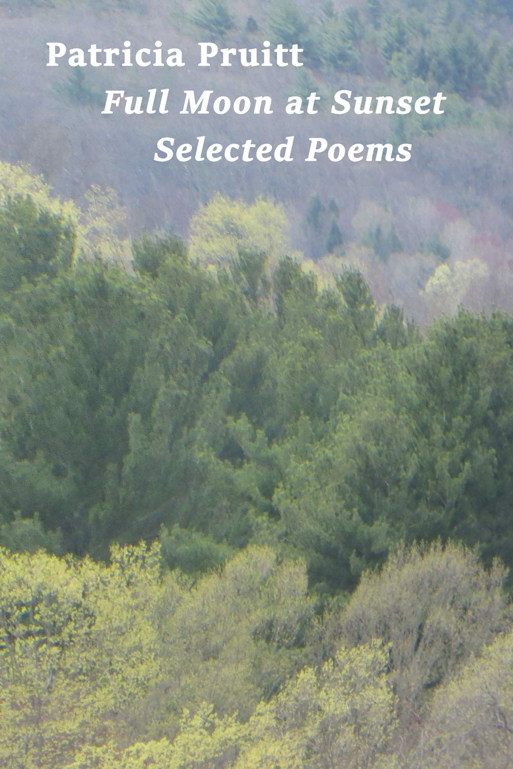 Full Moon at Sunset: Selected Poems book cover