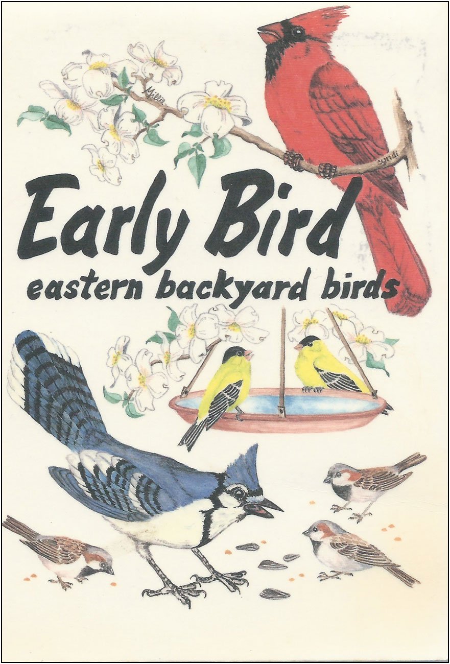 Early Bird Eastern Backyard Birds book cover