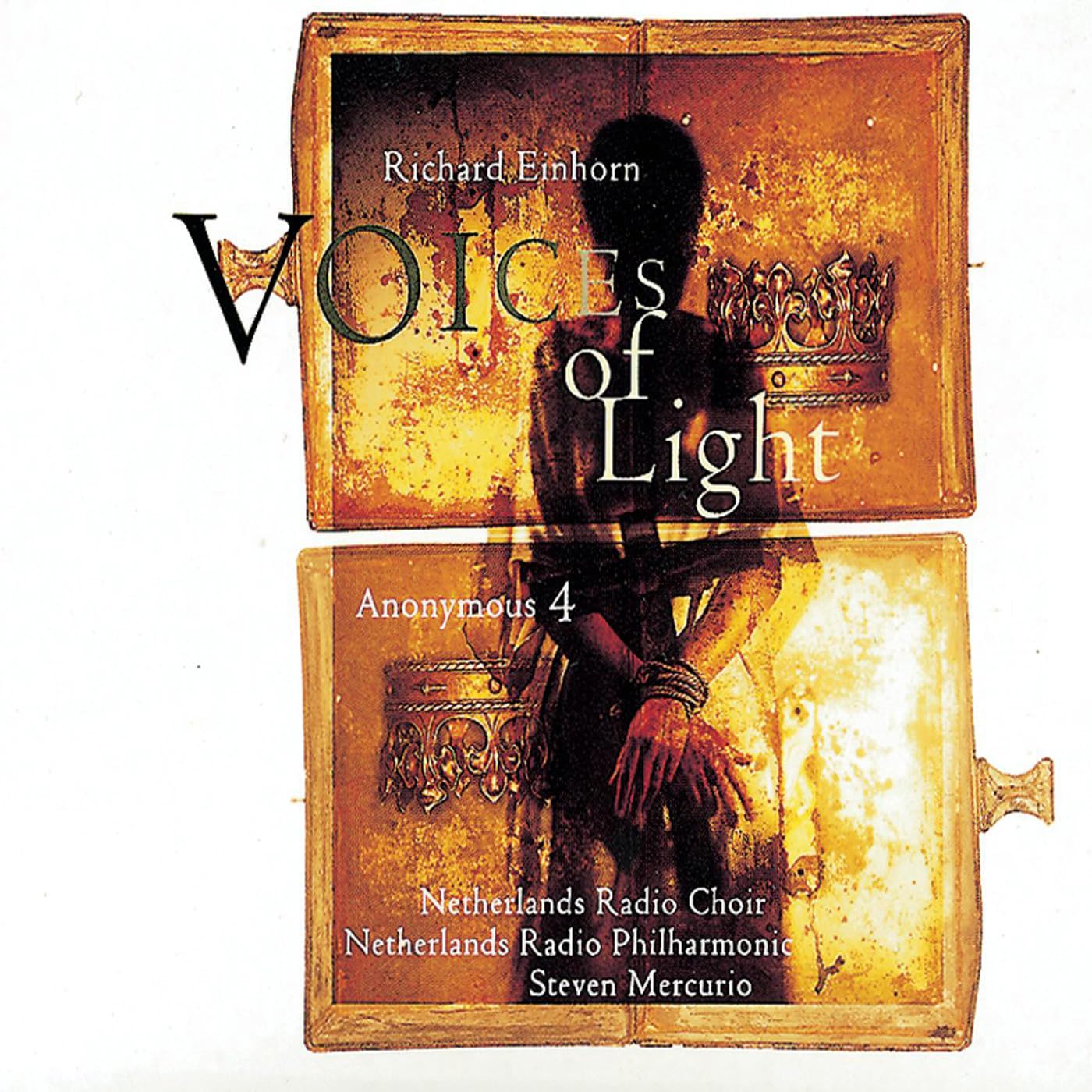 Voices of Light book cover