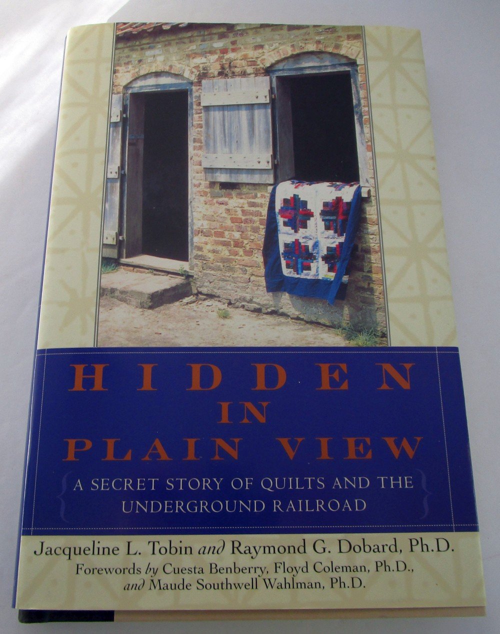 Hidden in Plain View: The Secret Story of Quilts and the Underground Railroad book cover