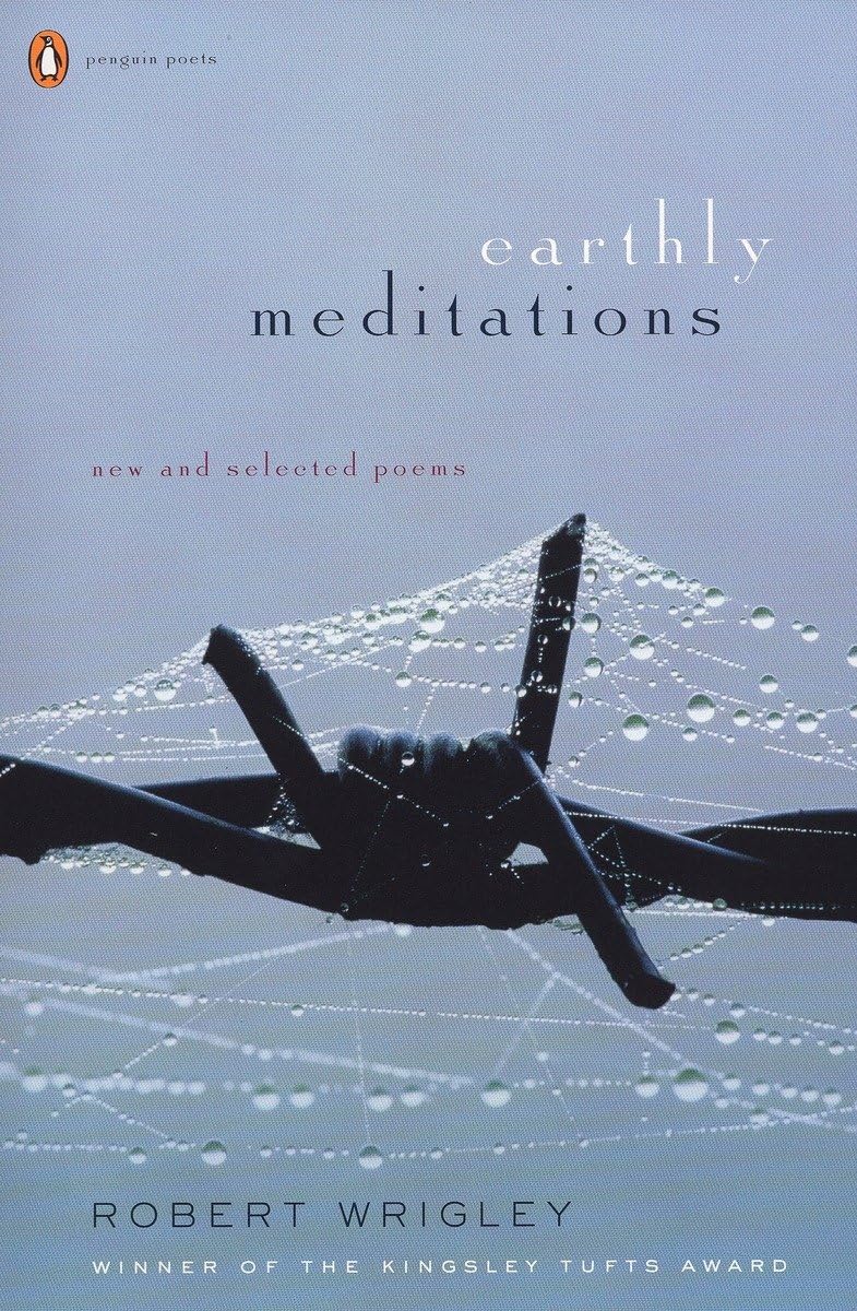 Earthly Meditations: New and Selected Poems book cover