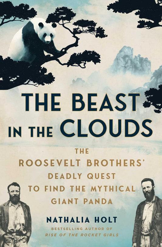 The Beast in the Clouds book cover