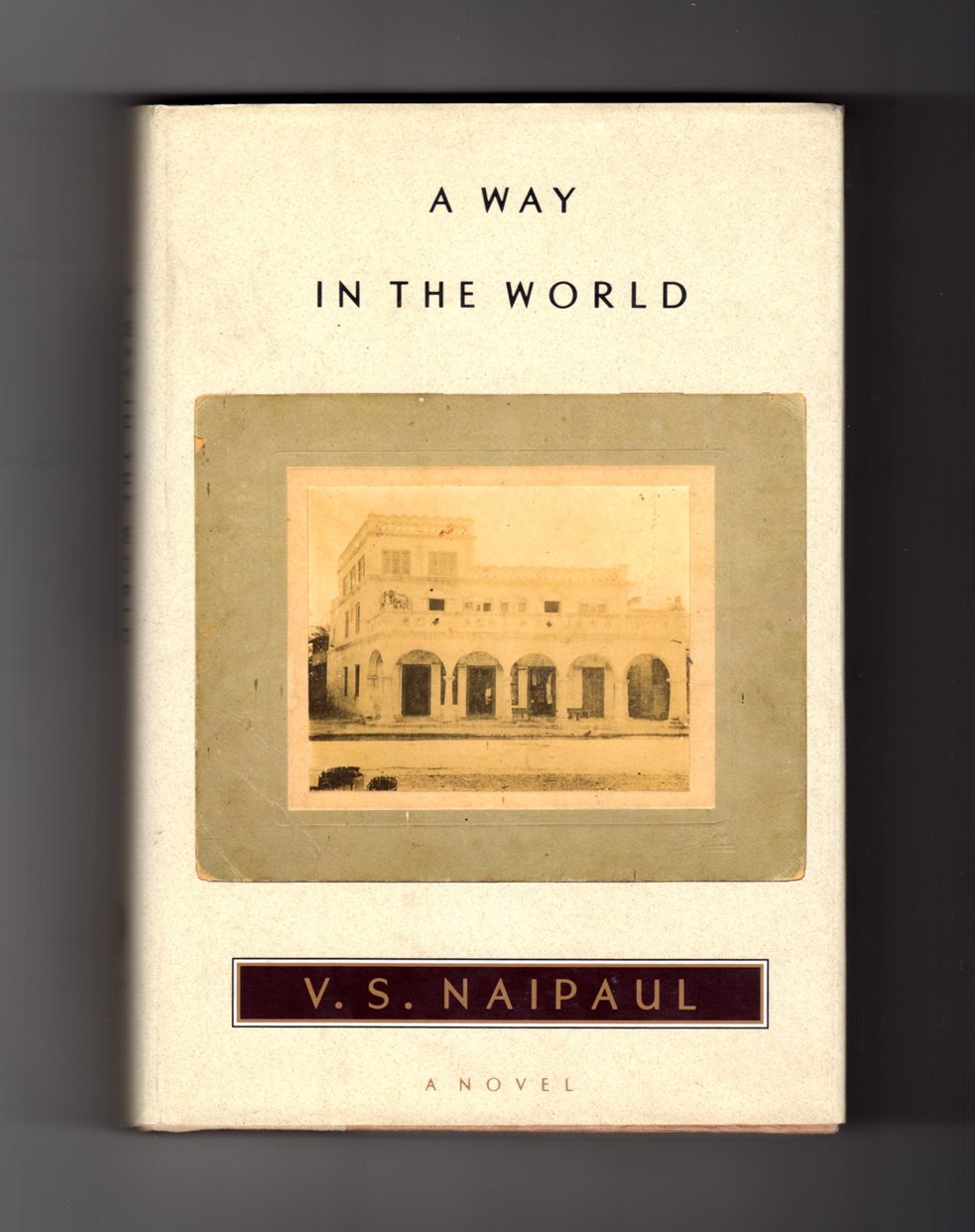 A Way In The World: A Novel book cover