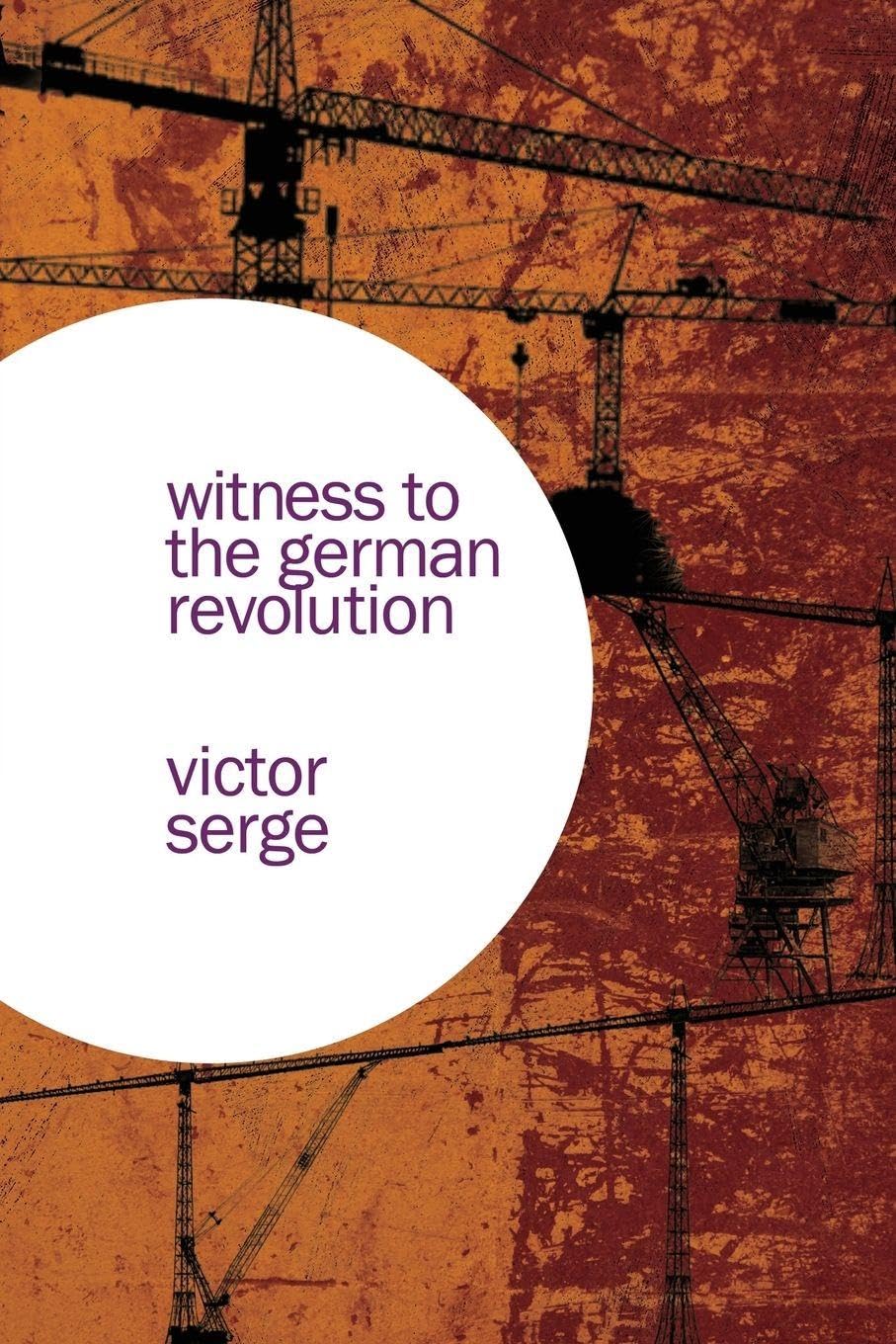 Witness to the German Revolution book cover
