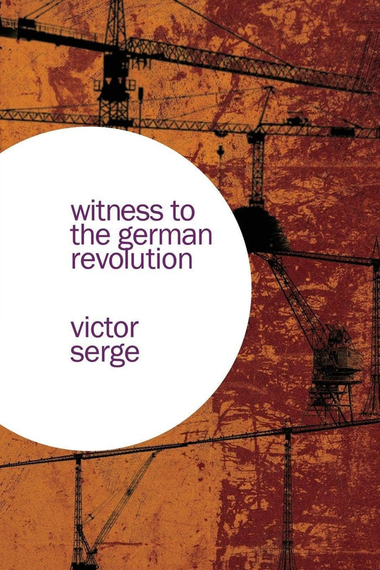 Witness to the German Revolution book cover
