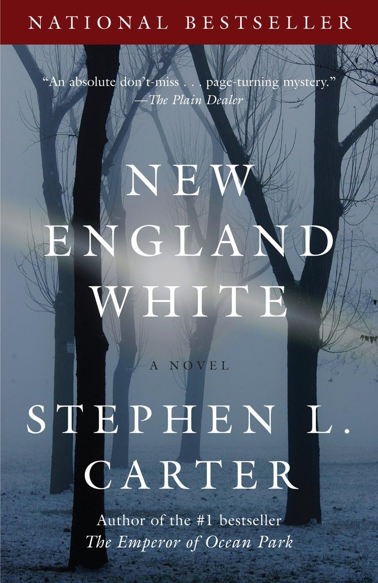 New England White book cover