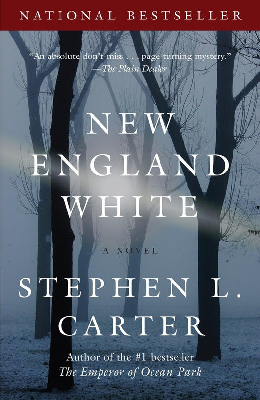 New England White book cover