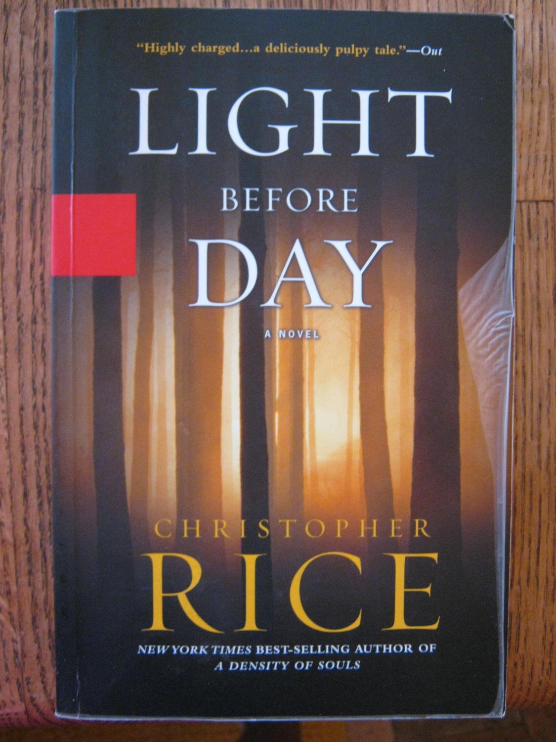 Light Before Day book cover