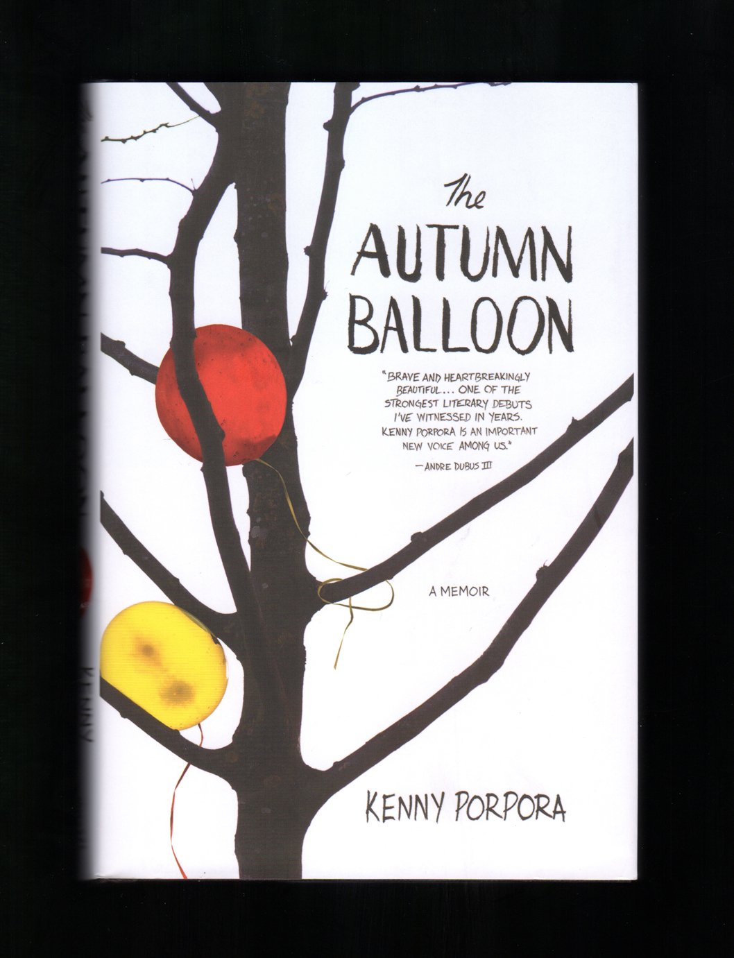 Autumn Balloon book cover