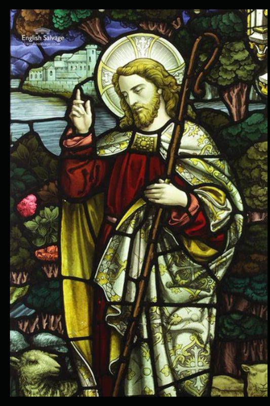 Finding the Church Jesus Built: New Edition