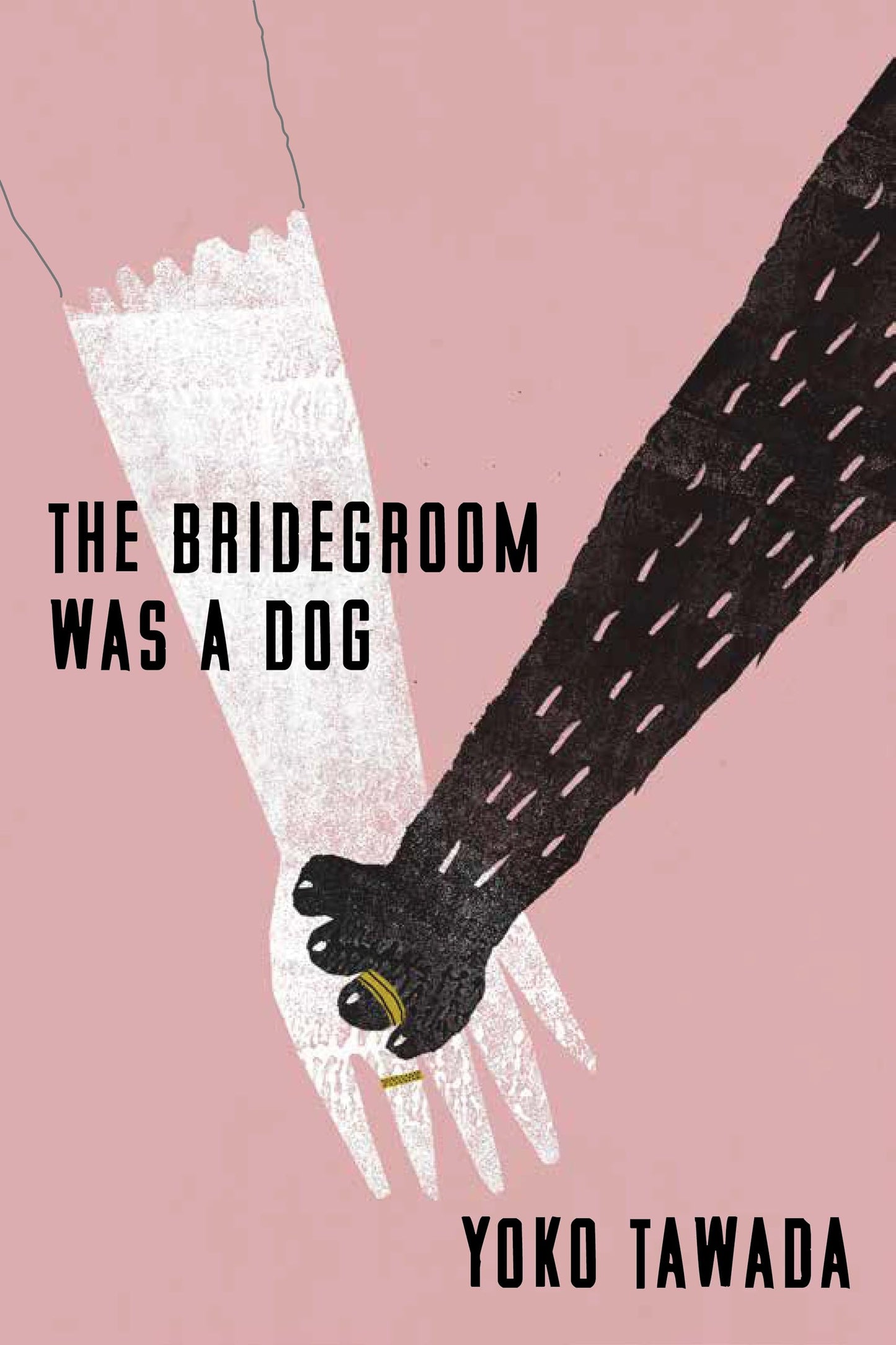 The Bridegroom Was a Dog book cover