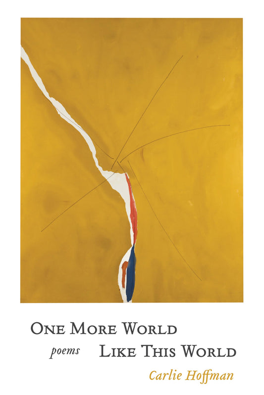 One More World Like This World book cover