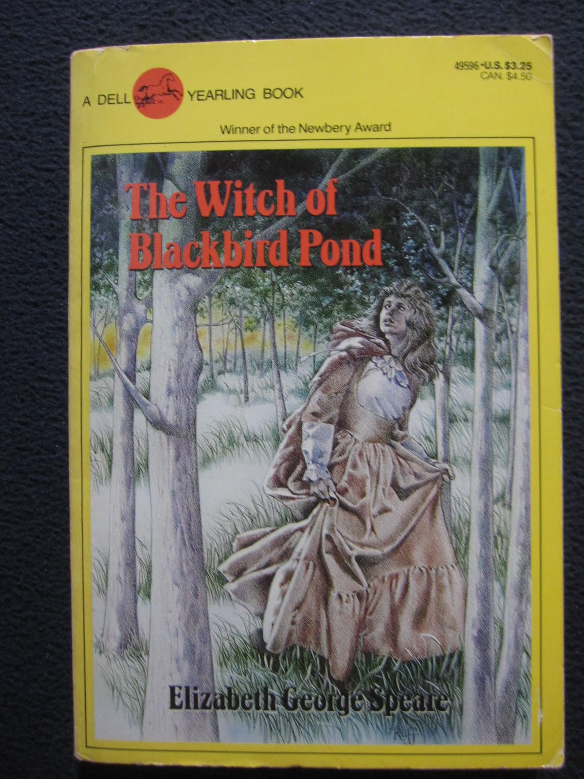 The Witch of Blackbird Pond book cover