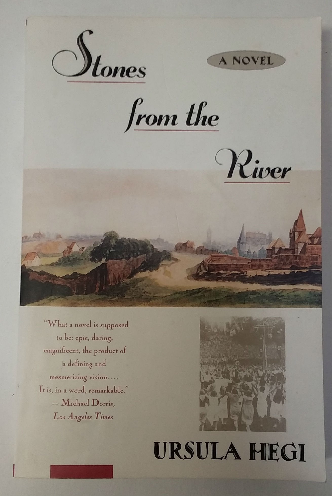 Stones from the River book cover