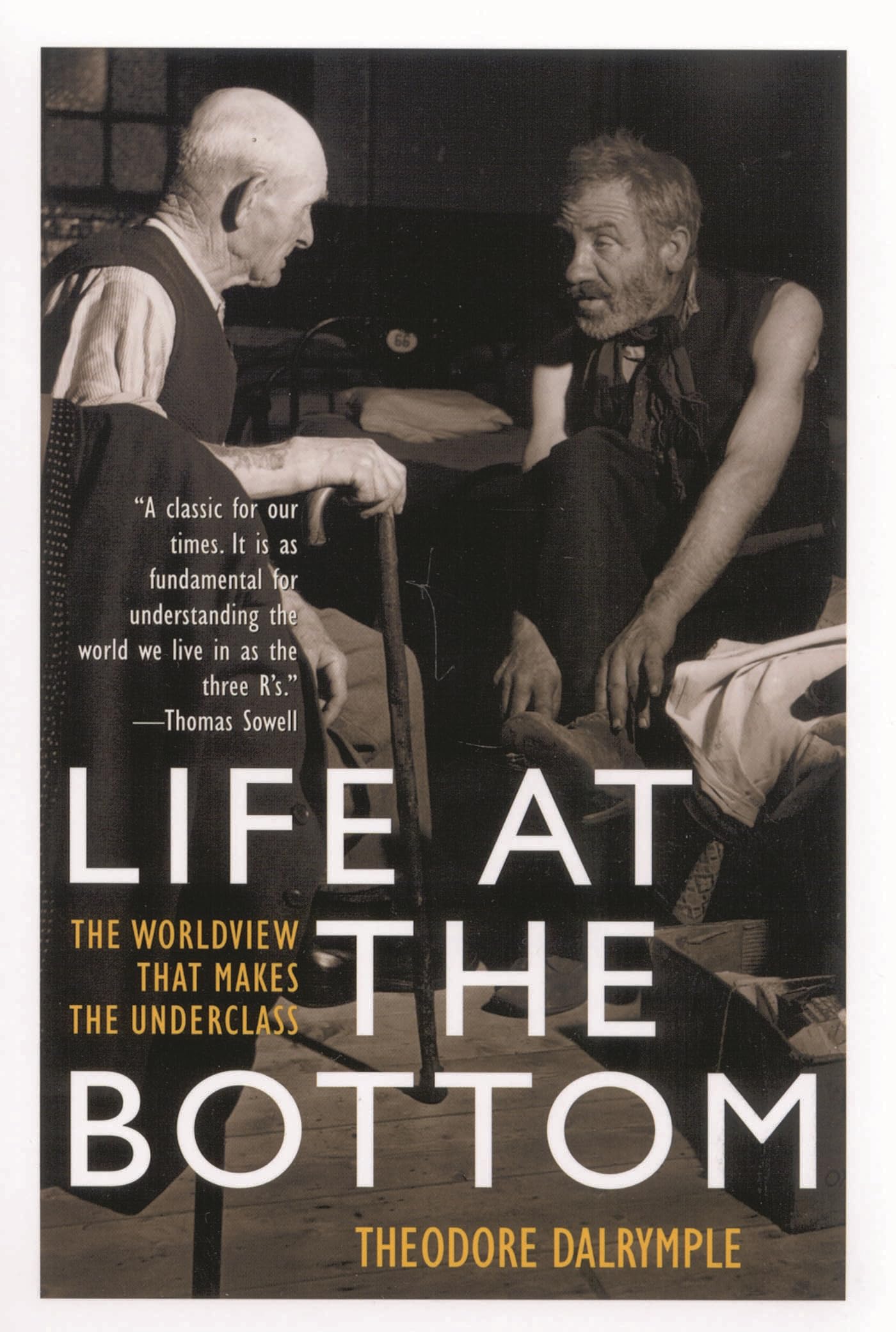Life at the Bottom: The Worldview That Makes the Underclass book cover