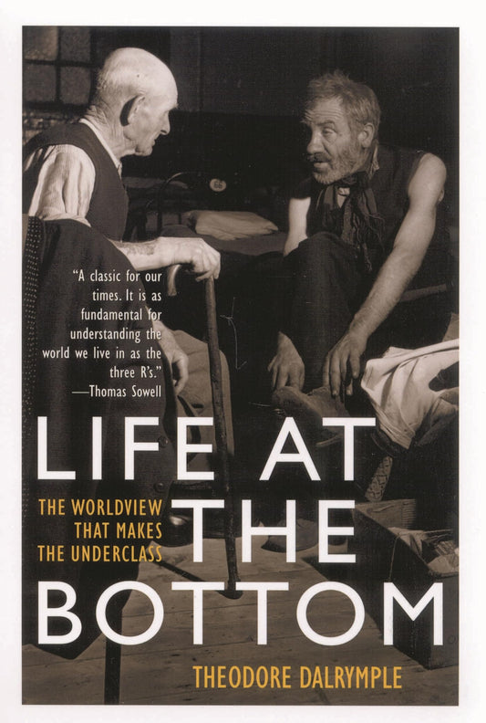 Life at the Bottom: The Worldview That Makes the Underclass book cover