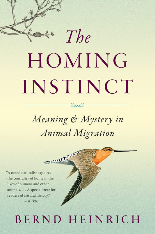 Homing Instinct: Meaning and Mystery in Animal Migration