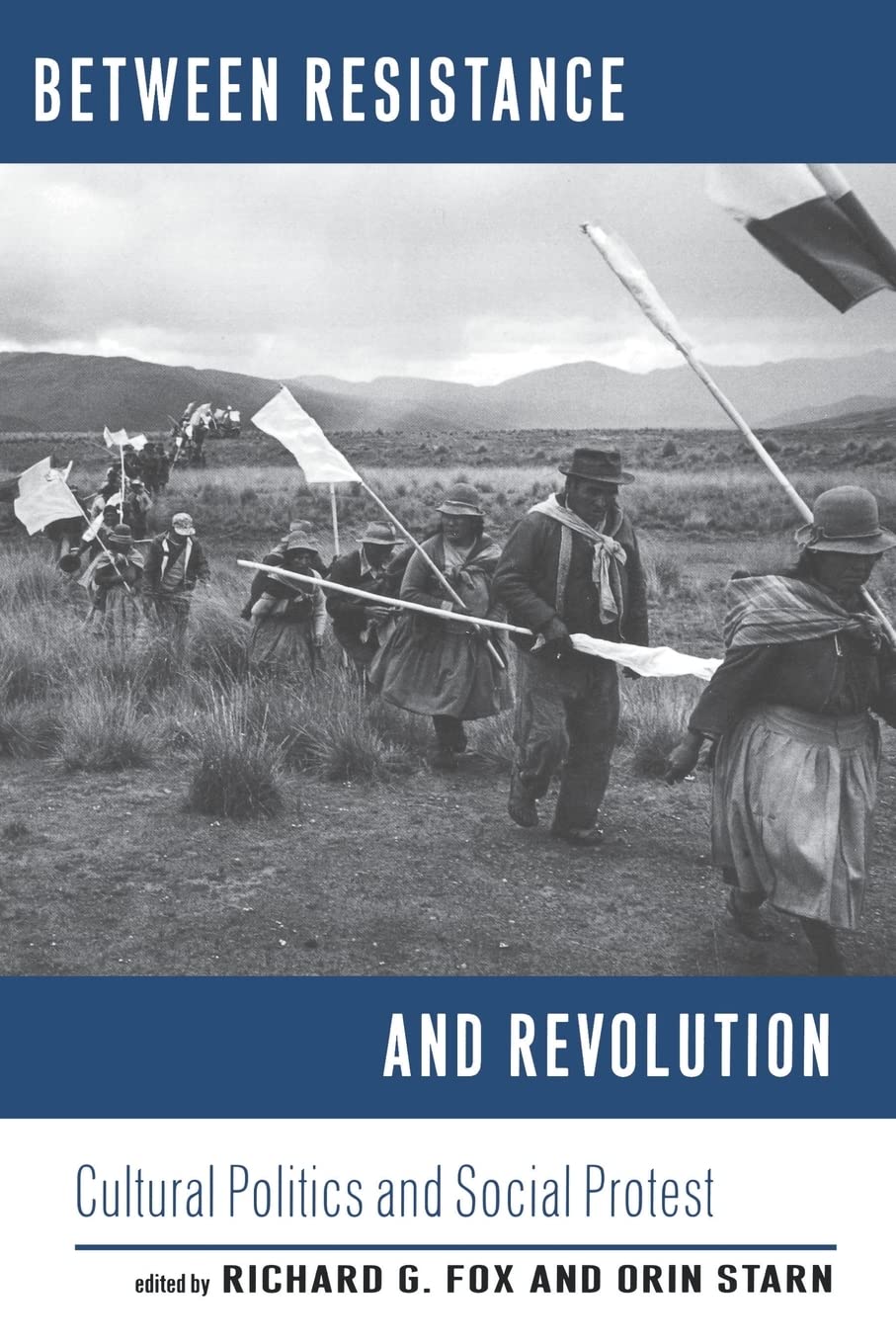 Between Resistance and Revolution: Cultural Politics and Social Protest book cover