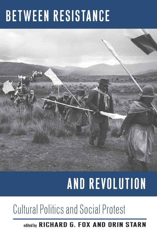Between Resistance and Revolution: Cultural Politics and Social Protest book cover