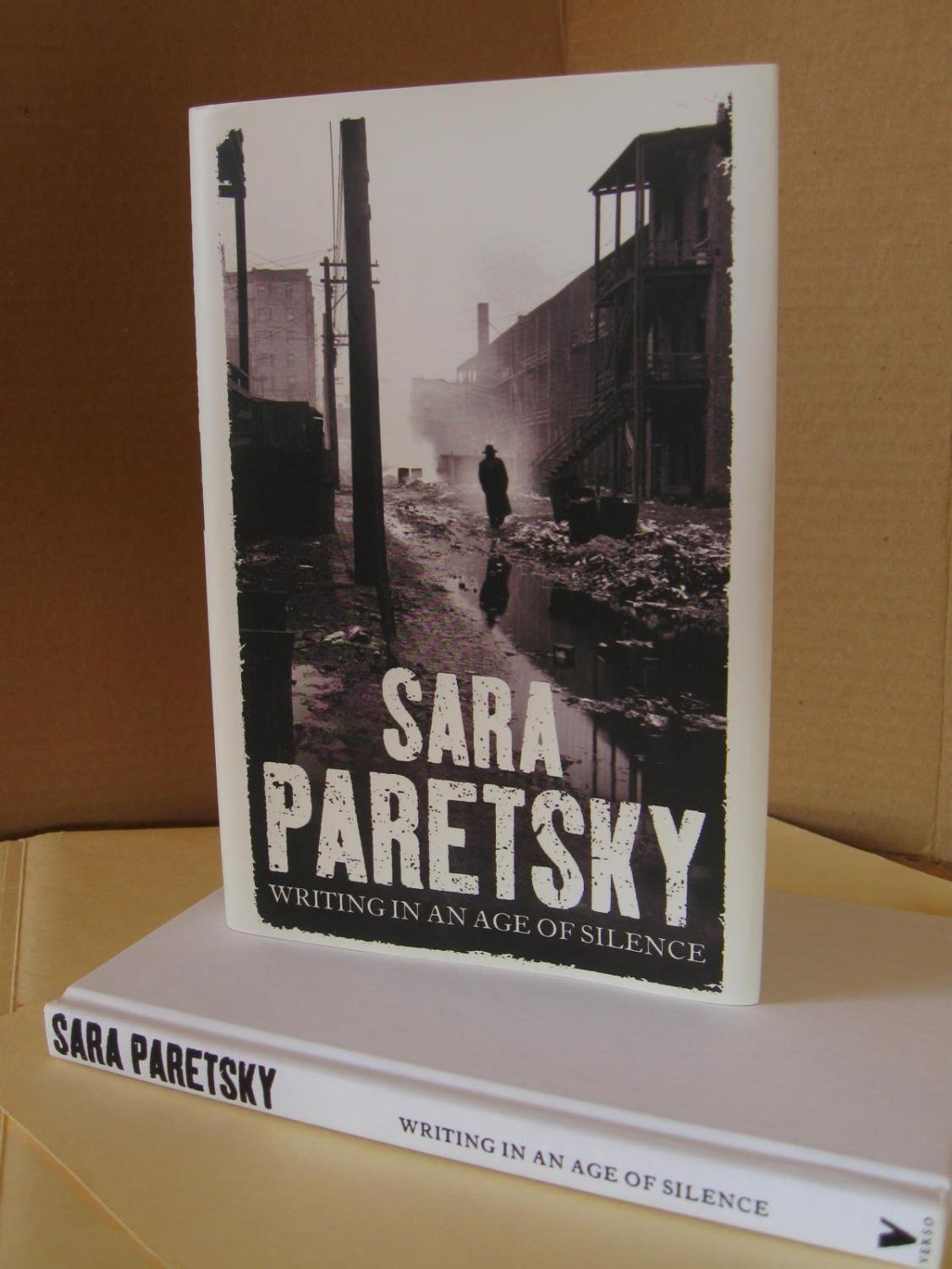 Writing in an Age of Silence book cover