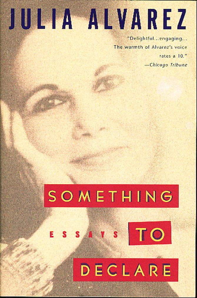 Something to Declare book cover