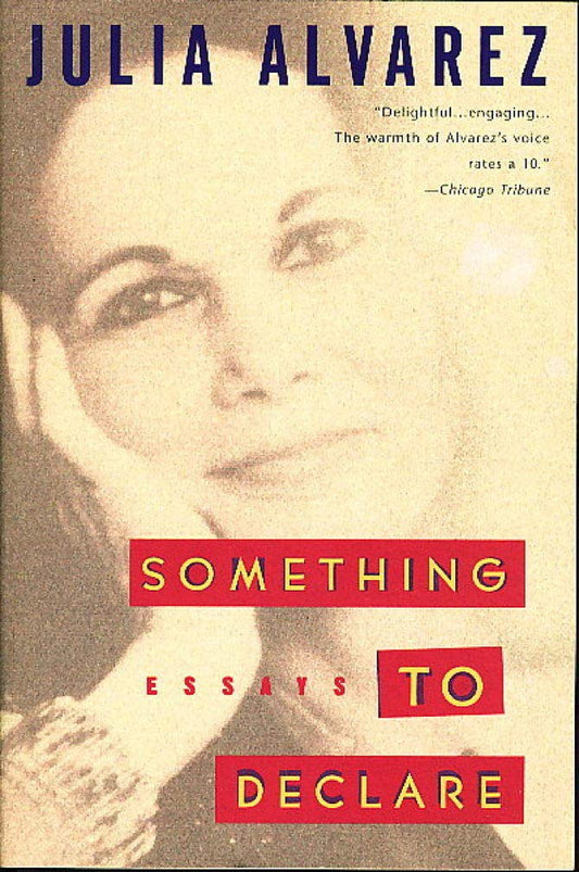 Something to Declare book cover