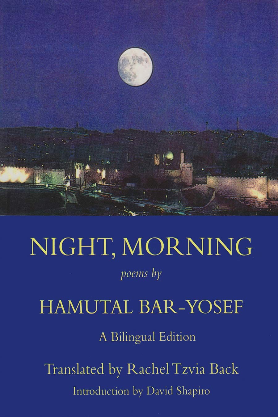 Night, Morning book cover