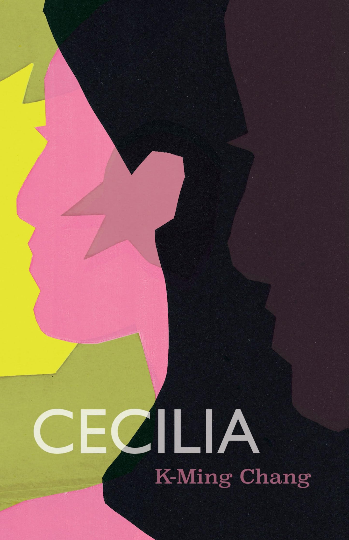 Cecilia book cover