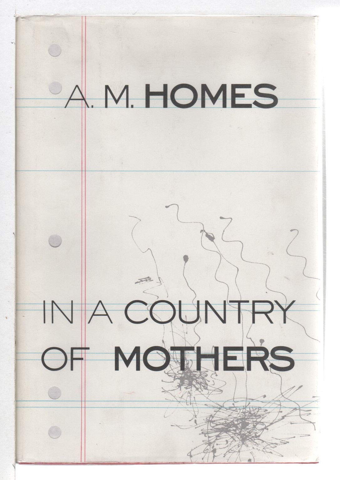 In a Country of Mothers book cover