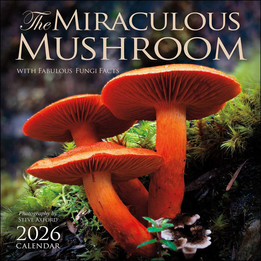 The Miraculous Mushroom 2026 Calendar