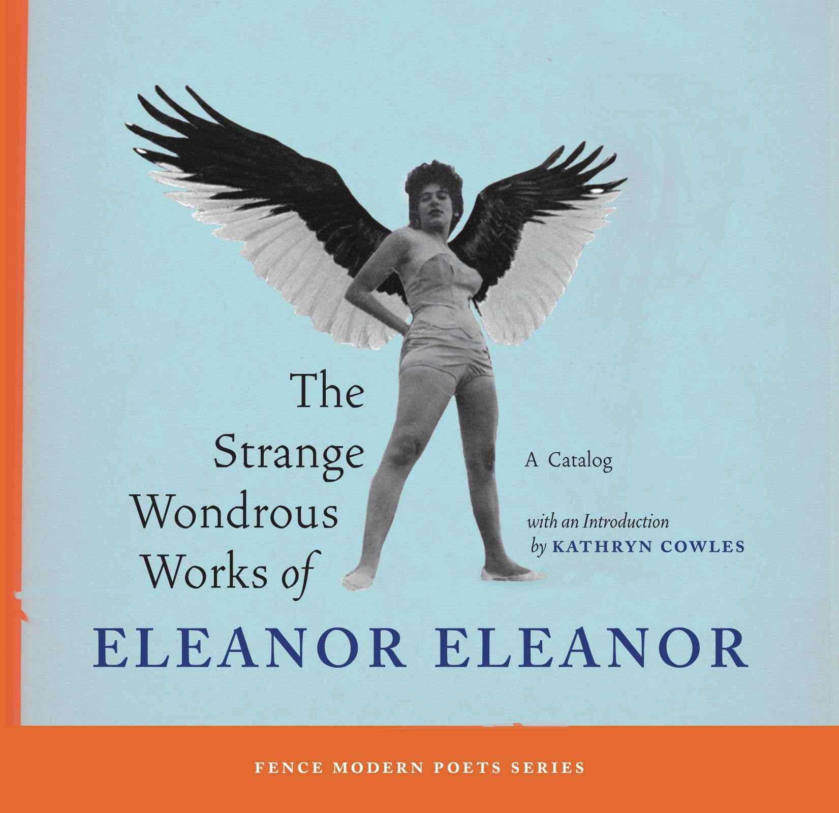 The Strange Wondrous Works of Eleanor Eleanor book cover