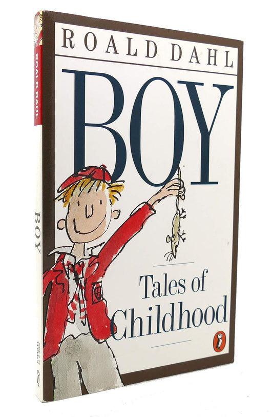 Boy: Tales of Childhood