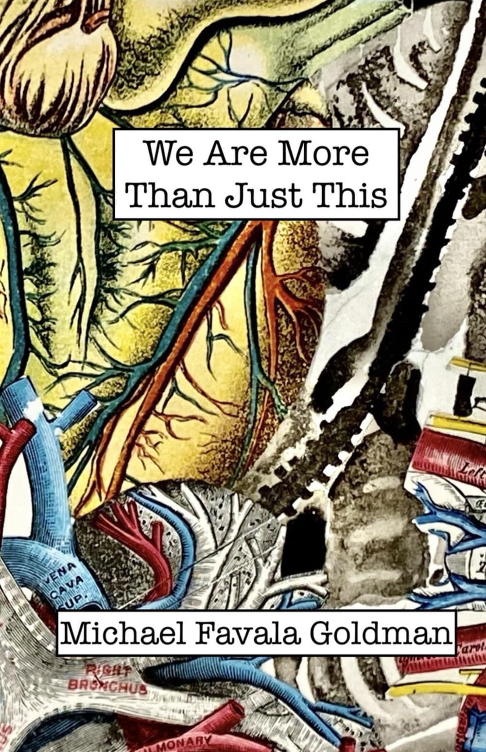 We Are More Than Just This book cover