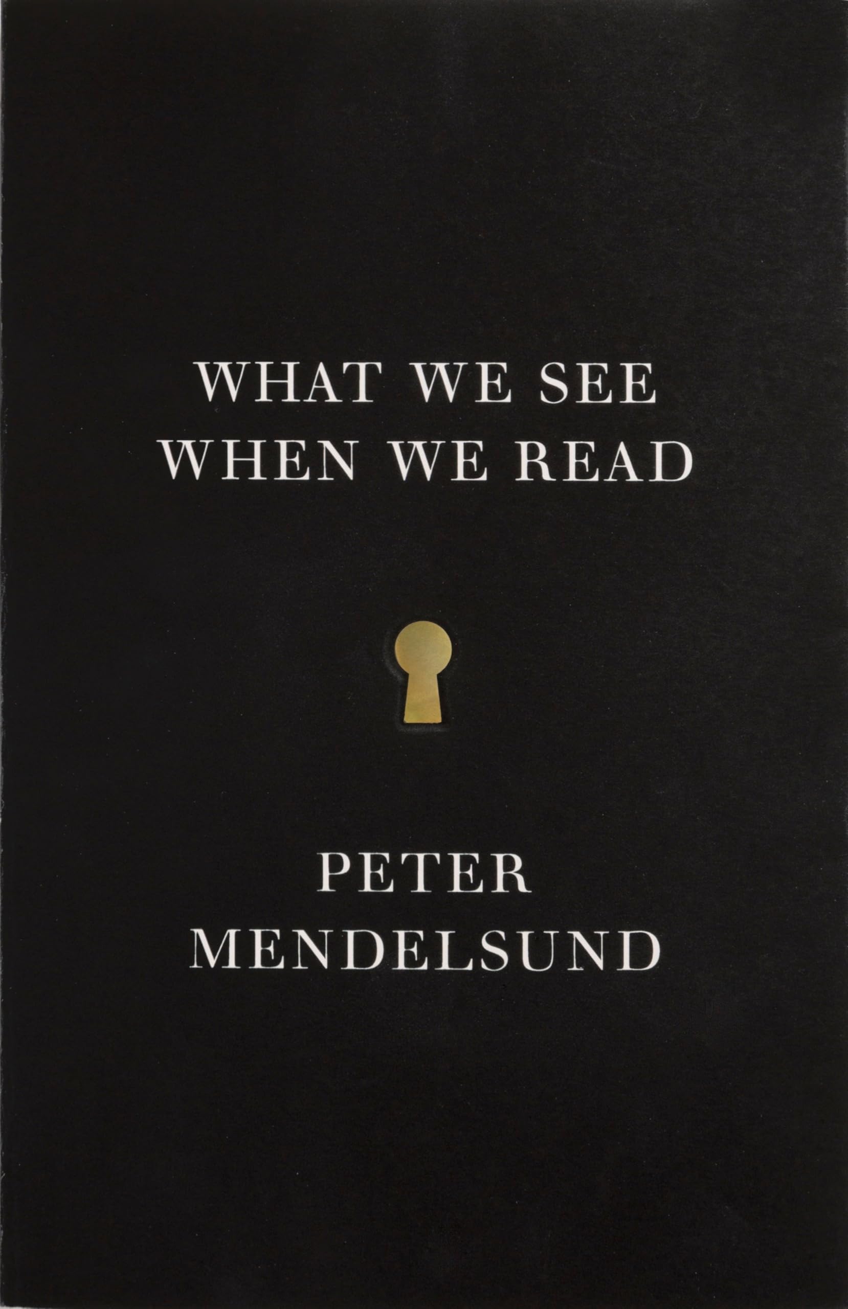 What We See When We Read book cover