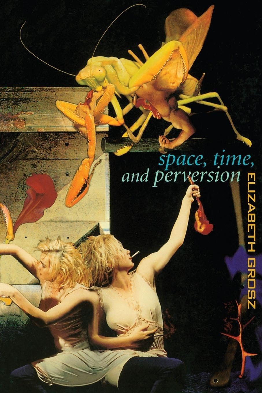 Space, Time and Perversion: Essays on the Politics of Bodies book cover