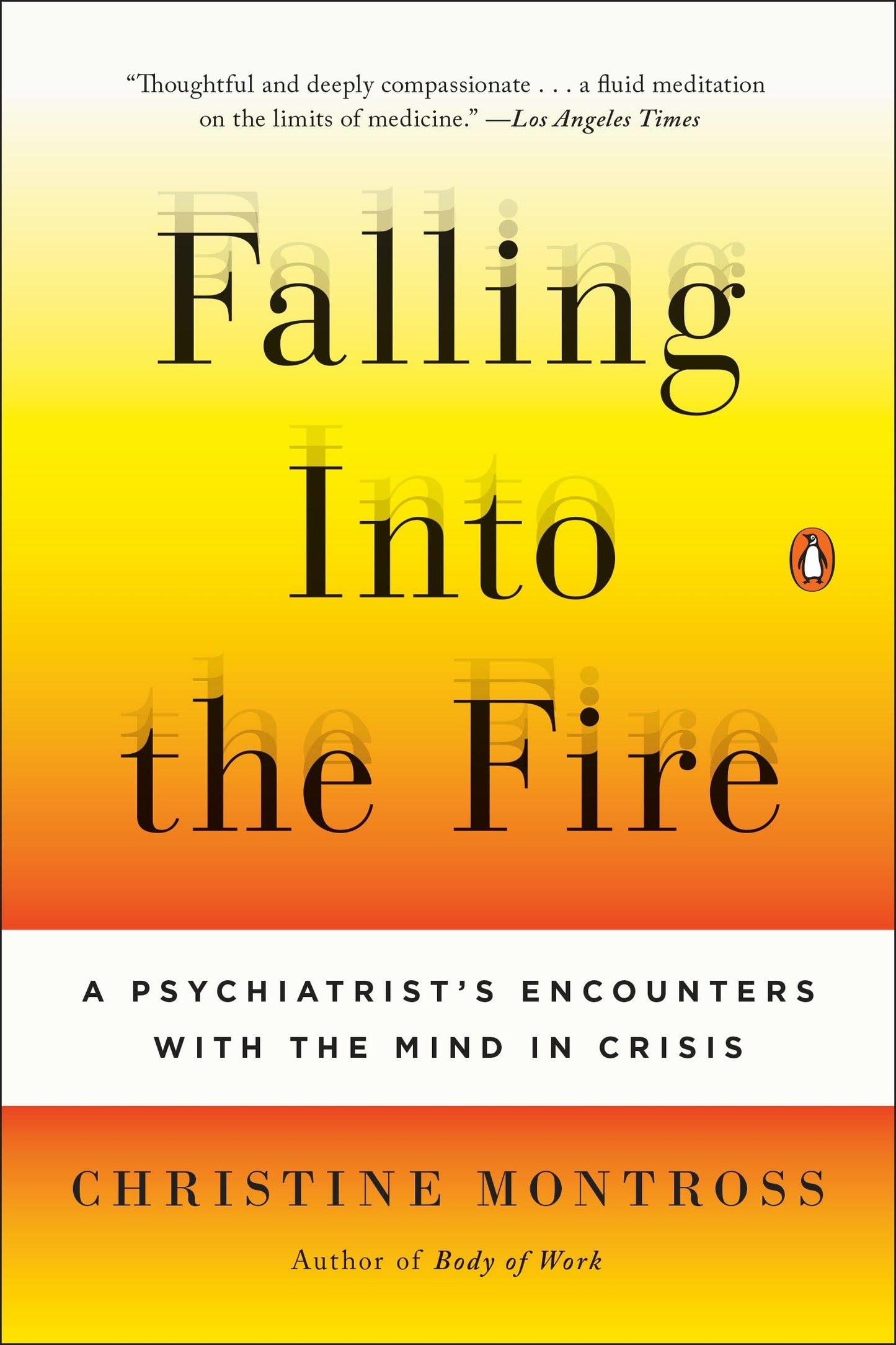 Falling Into the Fire: A Psychiatrist's Encounters with the Mind in Crisis book cover