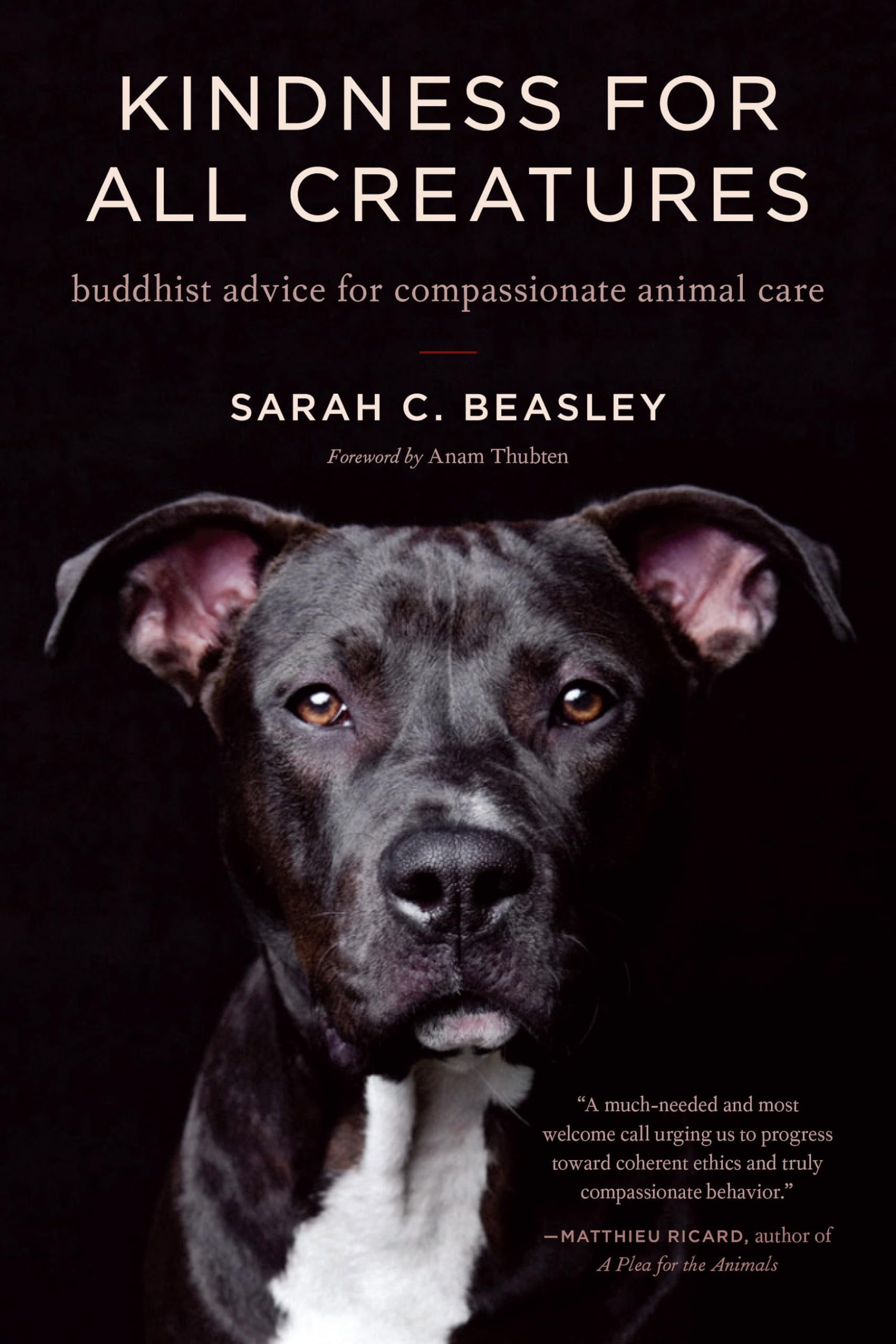 Kindness for All Creatures: Buddhist Advice for Compassionate Animal Care book cover