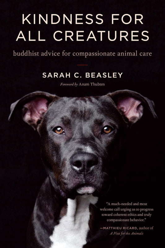 Kindness for All Creatures: Buddhist Advice for Compassionate Animal Care book cover