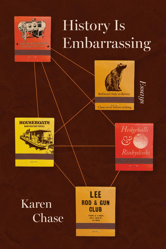 History Is Embarrassing book cover