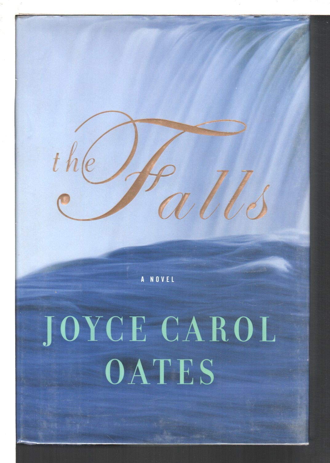 Falls book cover