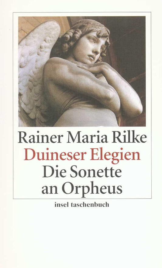 Duineser Elegien Sonette an Orpheus (German Edition)