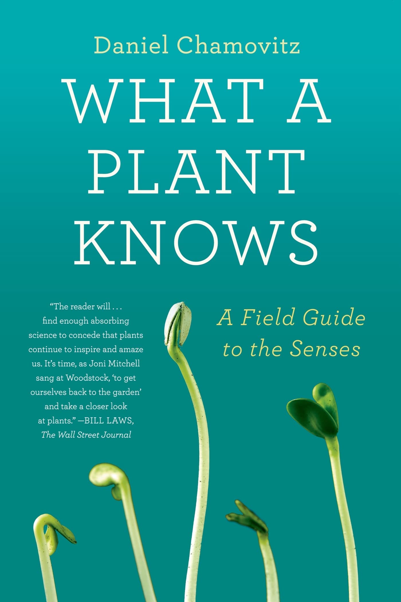 What a Plant Knows: A Field Guide to the Senses