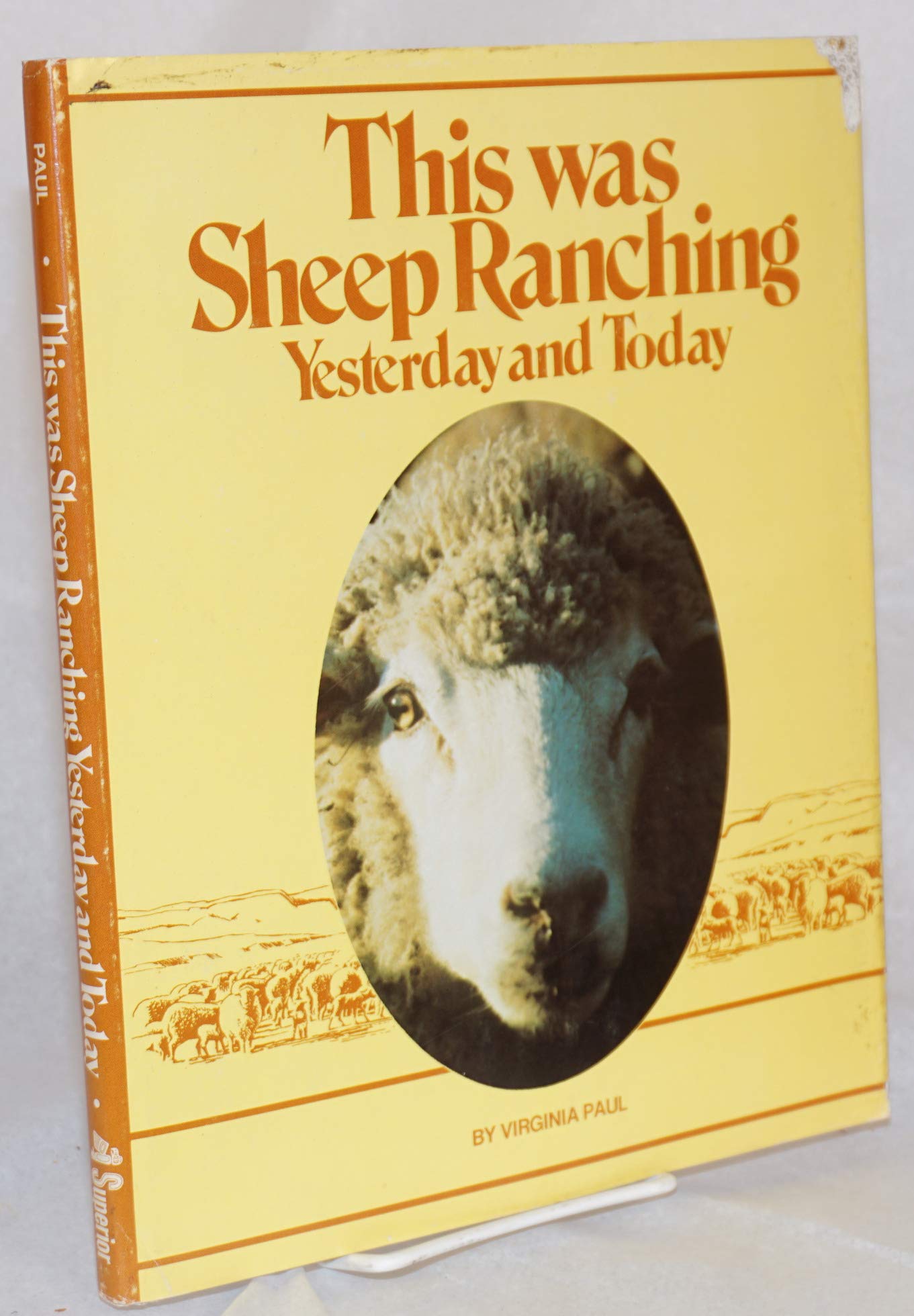 This was sheep ranching: Yesterday and today book cover