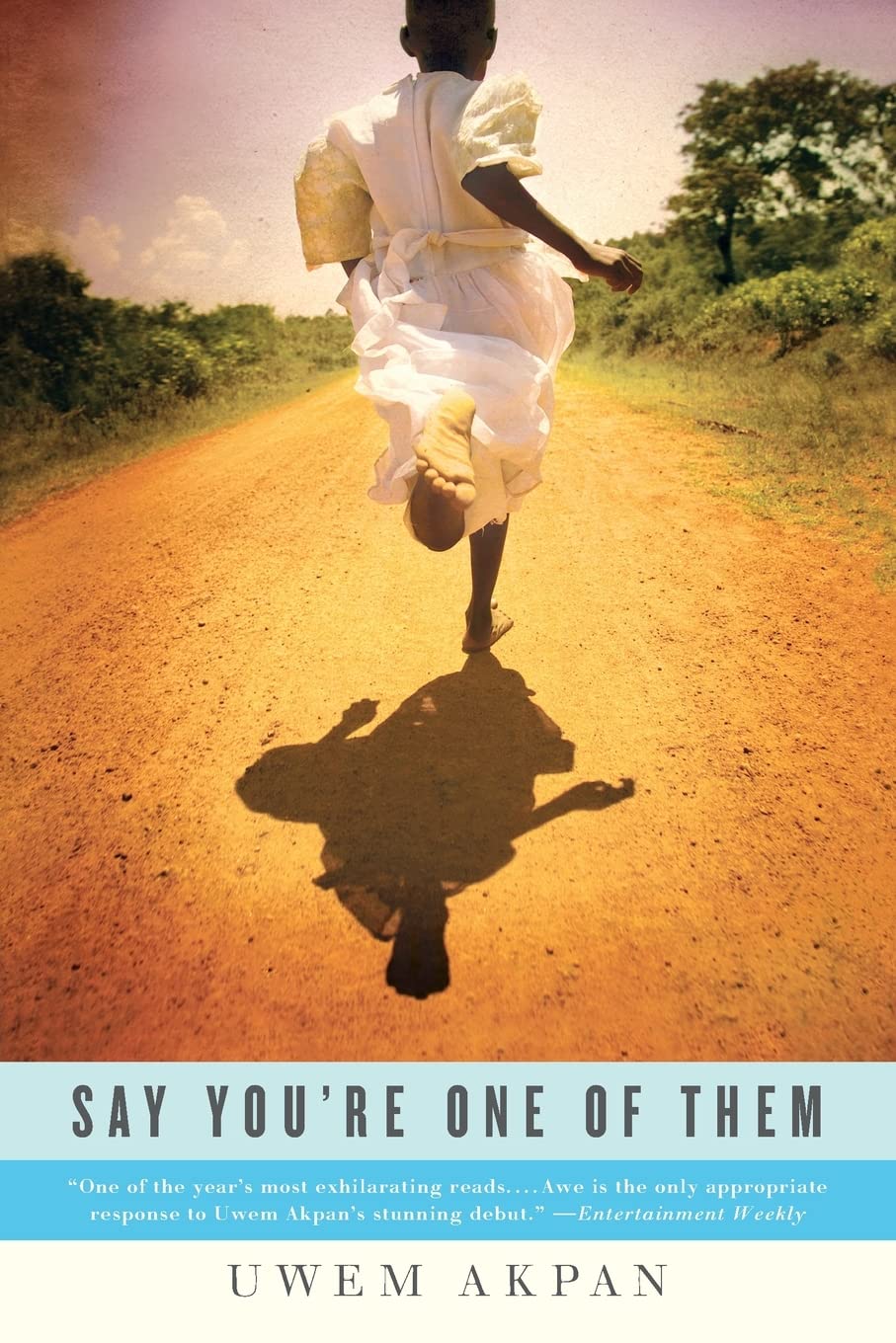 Say You're One of Them book cover