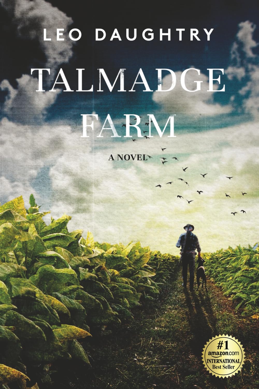 Talmadge Farm book cover