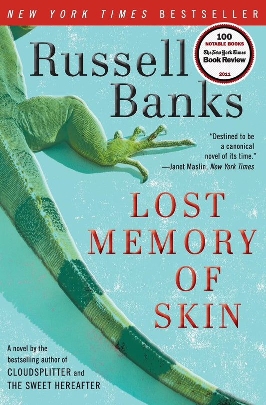Lost Memory of Skin book cover